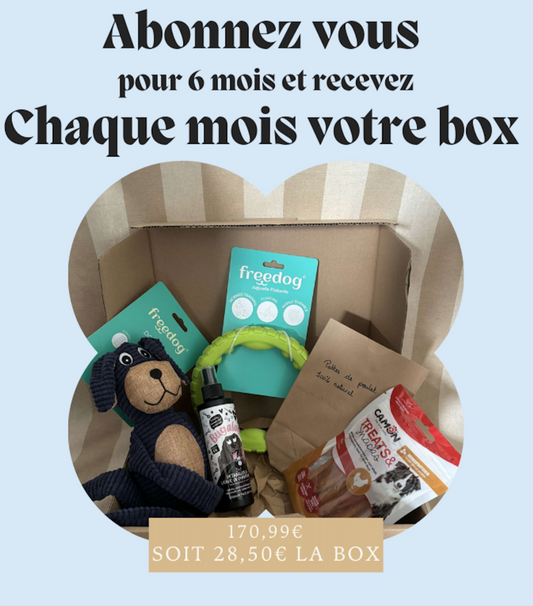 Abonnement semestriel - Chiens