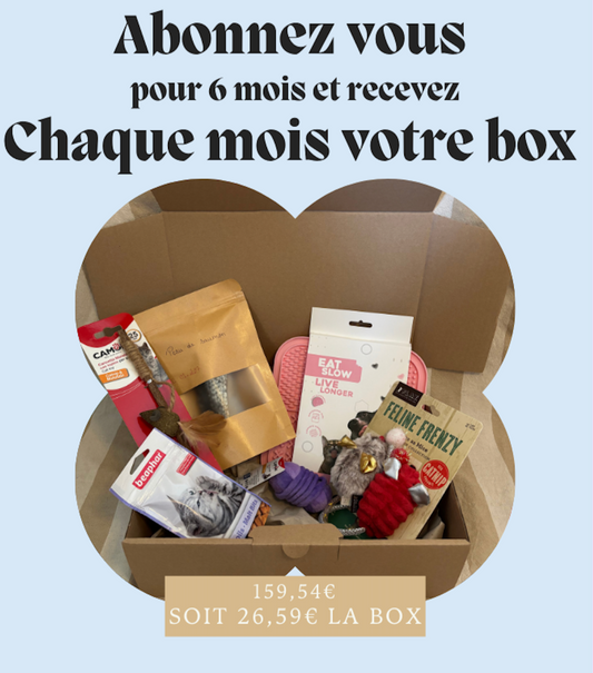 Abonnement semestriel - Chats