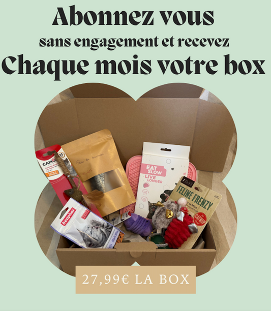 Abonnement mensuel à la box chat