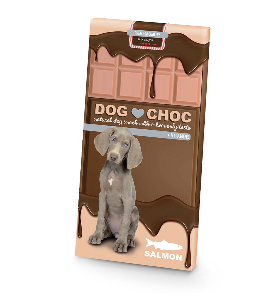 Dog Choc Saumon